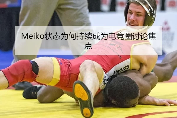 Meiko状态为何持续成为电竞圈讨论焦点